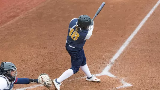 action_sball_selle_20