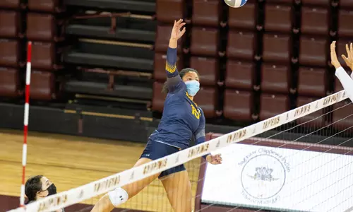 vball_action_matthews_06