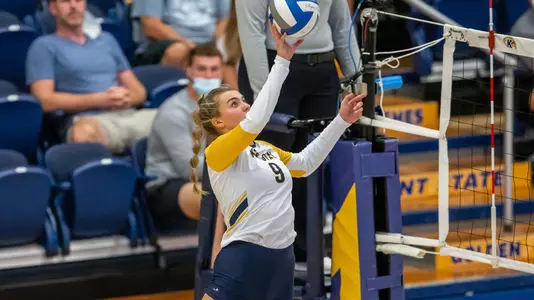 vball_action_heberle07