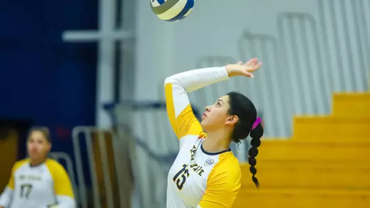 vball_action_matthews_11