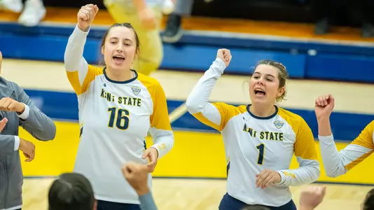 vball_action_team_51