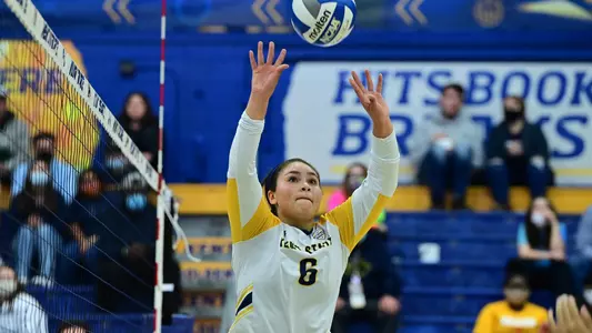 vball_action_haffner_16