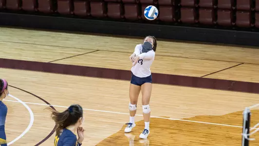 vball_action_gardner10