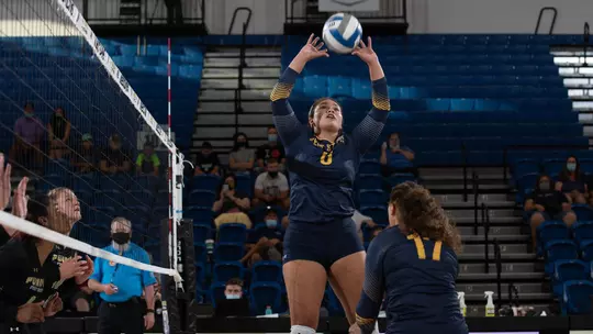 vball_action_haffner_14