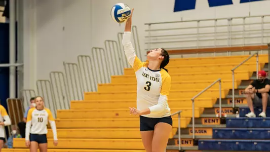 vball_action_roberts_05
