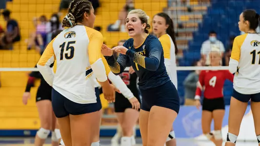 vball_action_jarecke_03