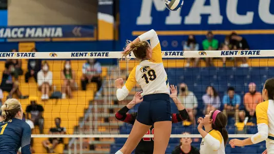 vball_action_johnson01