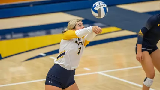vball_action_jarecke_04