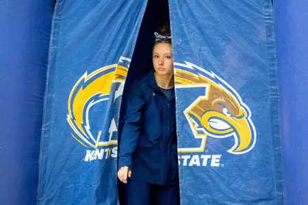 gym_action_2022_decavitchintros