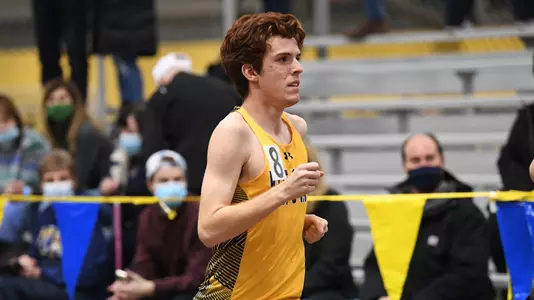 mitf_action_arner_01