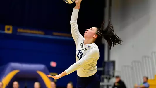 vb_action_gardner_17