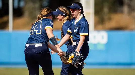 sball_action_team_38