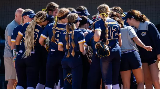 sball_action_team_39