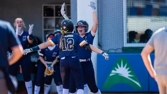 sball_action_wing_01