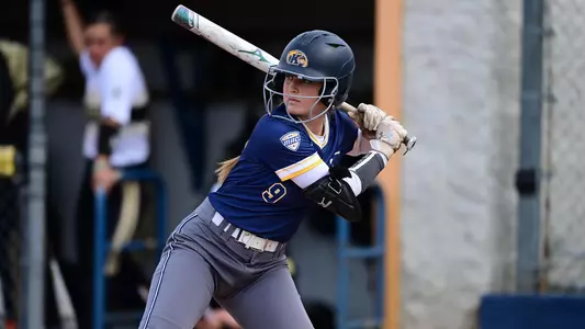 sball_action_wing_02