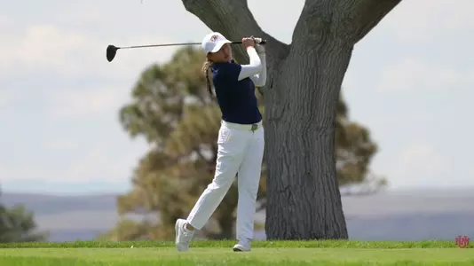 wgolf_action_takagi_01