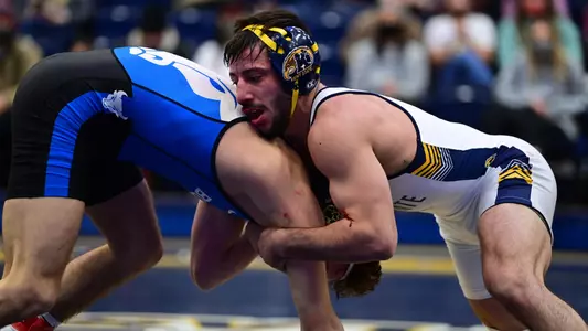 wrest_action_ferri42