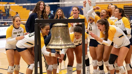 vball_action_team_60