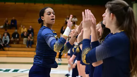 vball_action_walters04