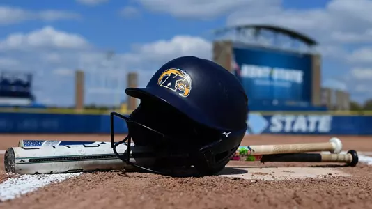 sball_generic_helmet_bats_2023