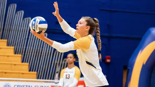 vball_action_brathol01