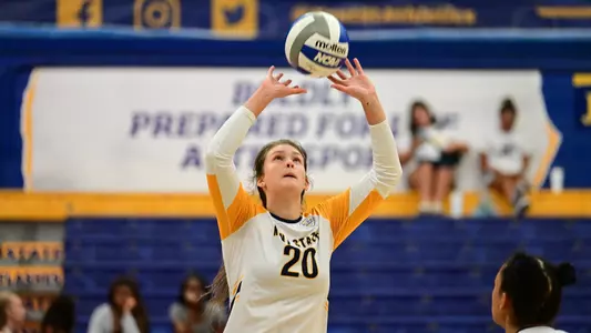 vball_action_white01