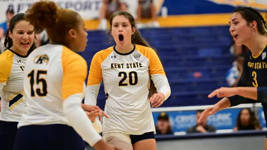 vball_action_white02