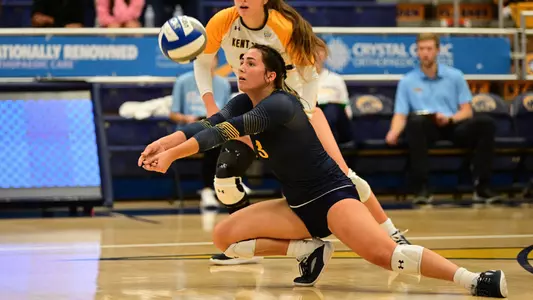 vball_action_roberts_04