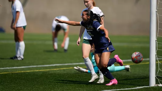 wsoc_2023_actiion_raimondo02