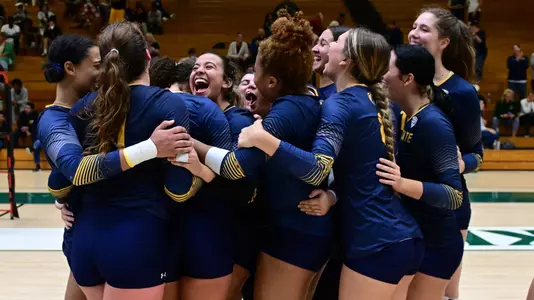 vball_action_team_58