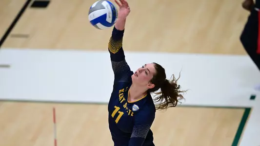 vball_action_mcguire_07