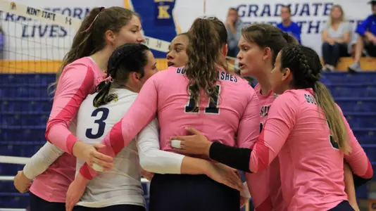 vball_action_team_59