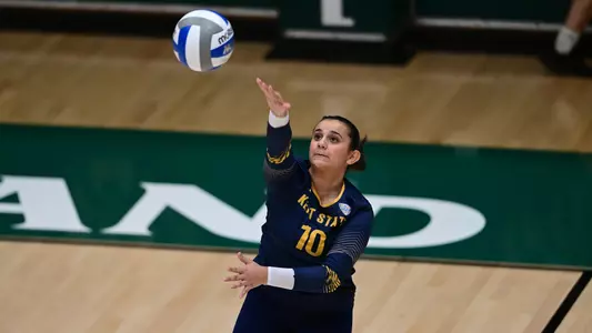 vball_action_rifkin02