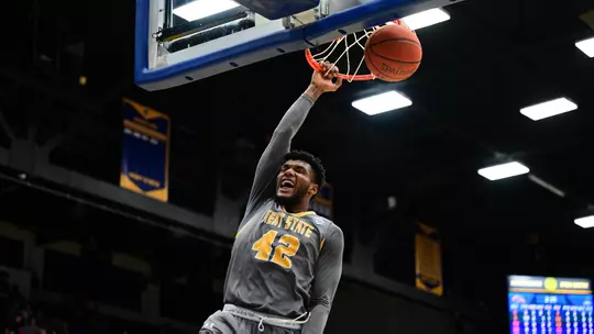 mbb_action_hornbeak04