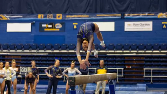 gym_2024_alvine01