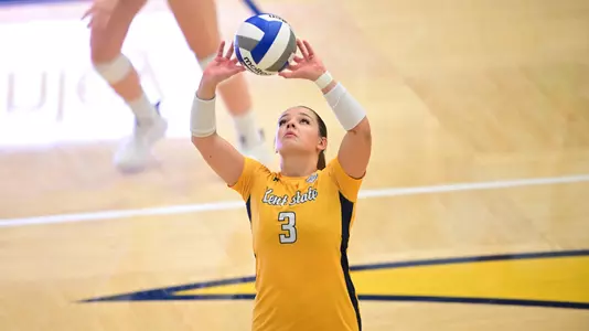 vball_action_burge_02