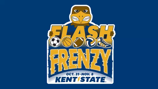 Flash Frenzy Logo Graphic