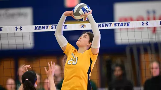 vball_action_white03