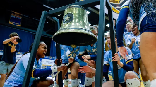 vball_action_team_61