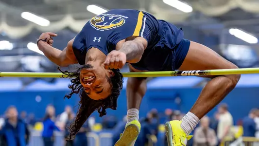 mitf_action_cattage_01