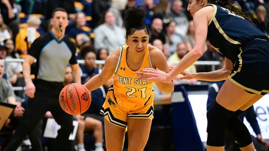 wbb_action_gray_07