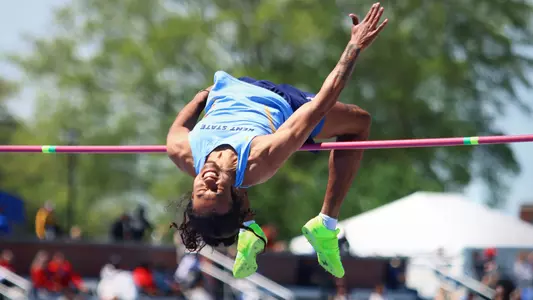 motf_action_cattage_01