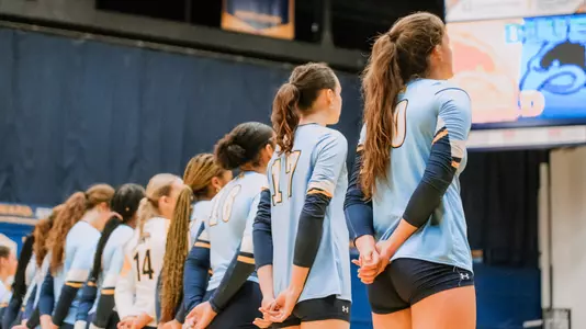 vball_action_team_63