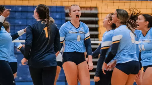 vball_action_mechura_01