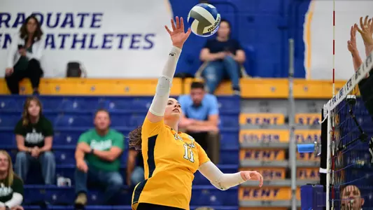 vball_action_mcguire_10