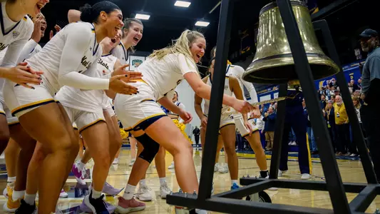 wbb_action_bell_01