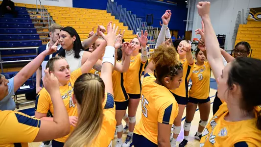 vball_action_team_66