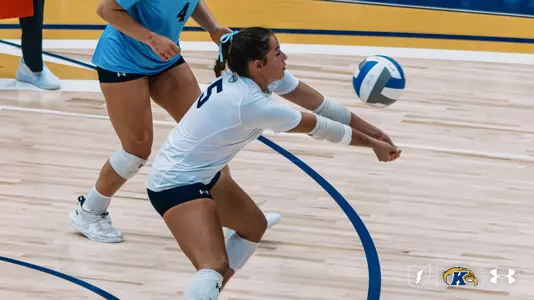 vball_action_furuta_05