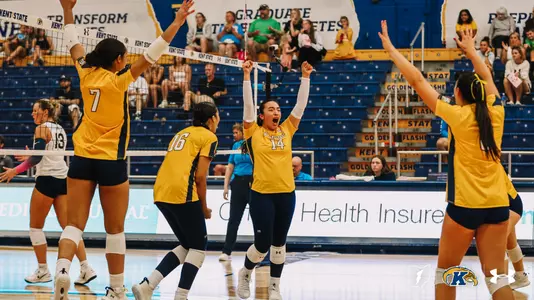 vball_action_team_77