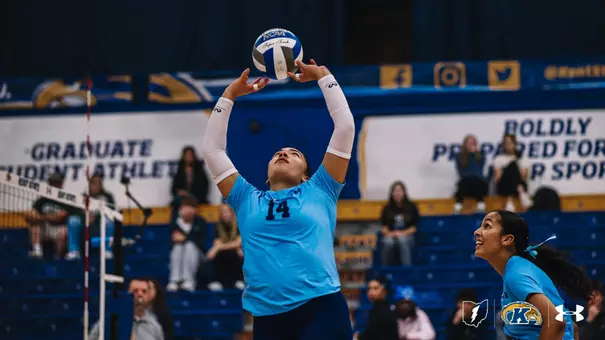 vball_action_vigil03